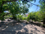 ÖZERLİ MAHALLESİNDE BAHÇELİ TERASLI 3+1 DAİRE